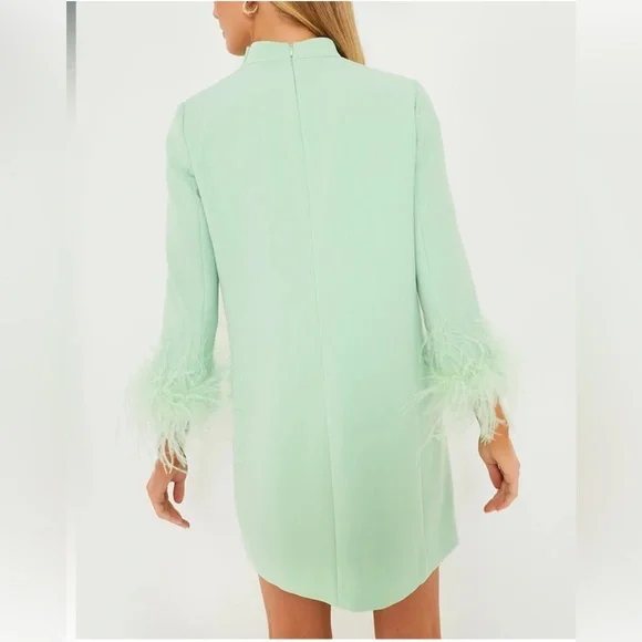 NWT Tuckernuck XXL Mint Feather Mod Ellie Dress - Picture 5 of 9